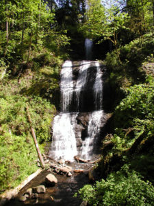 Royal Terrace Falls in McDowell Creek Park Linn County
