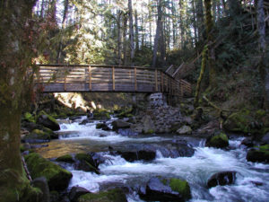 Majestic Falls Bridge McDowell Creek Linn County Oregon