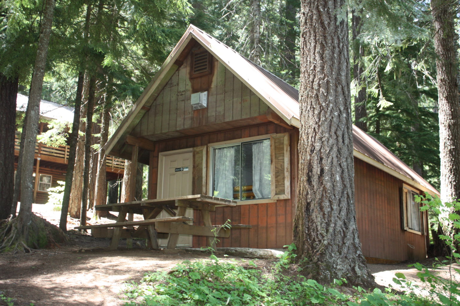 Clear Lake Resort in the Willamette National Forest