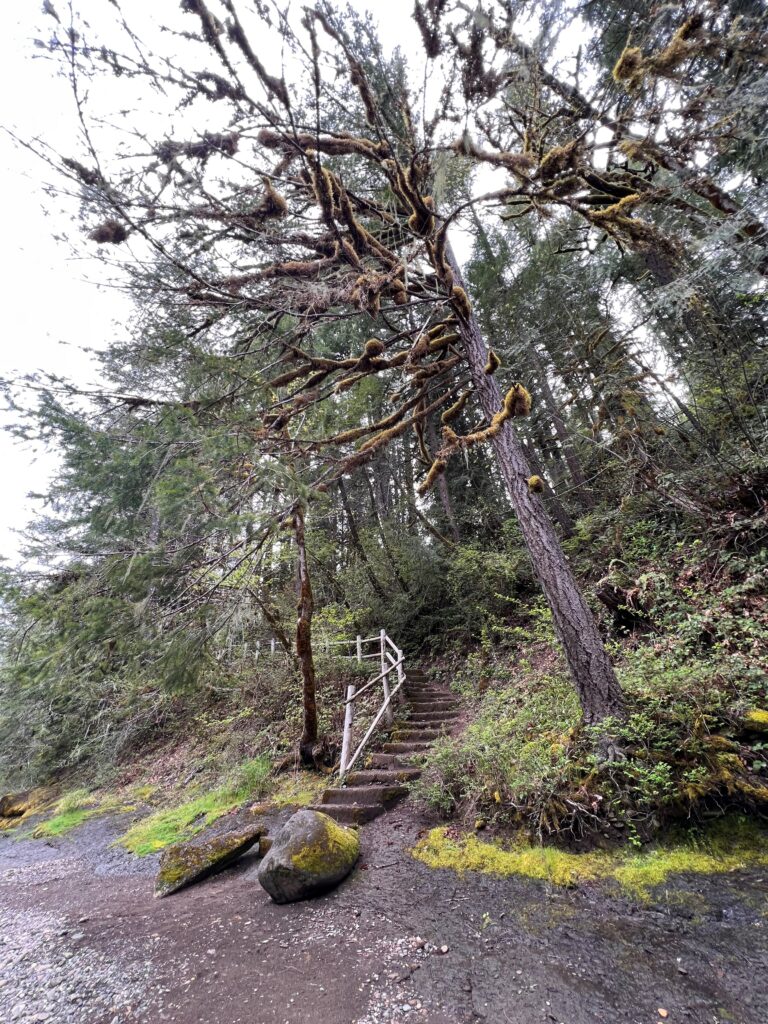 Cascadia Trail